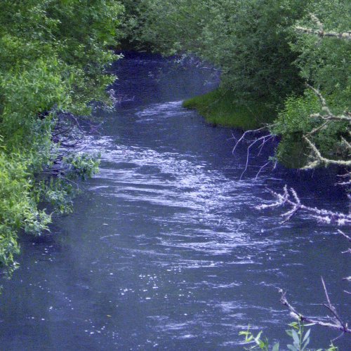 Image of Mary's River